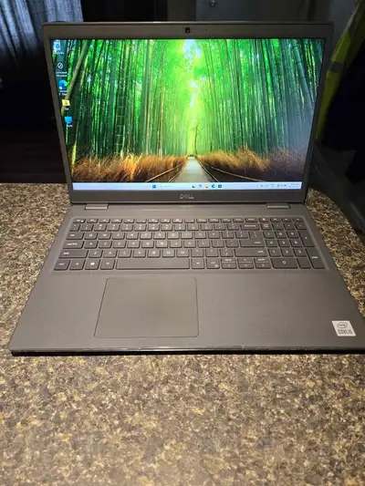 Dell Latitude 3510 15 Inch Laptop - i5 10th Gen, 16GRAM/256GSSD, View more