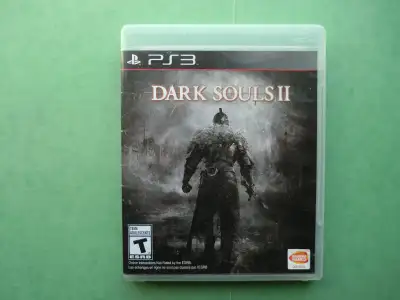 Dark Souls 2, View more