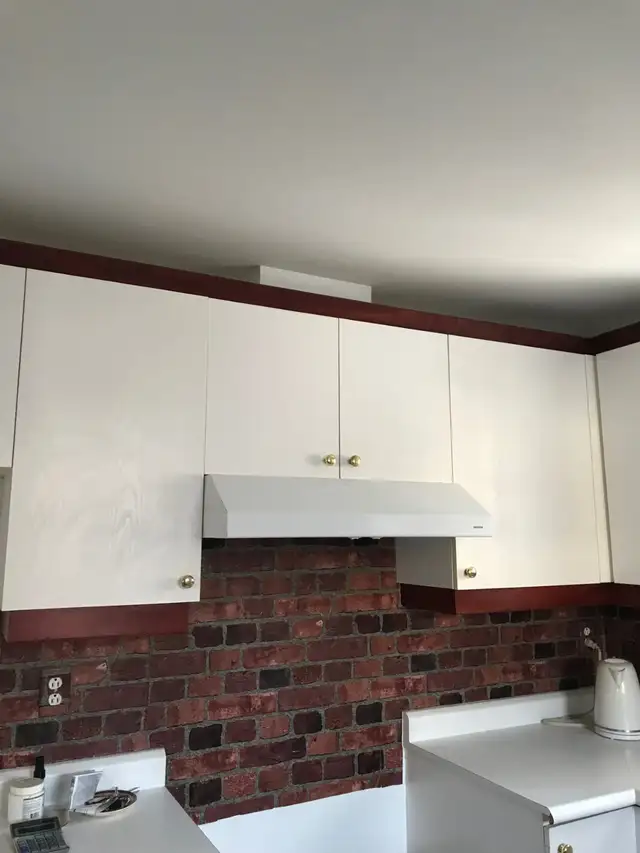 4 1/2 Style Condo à louer - Lévis in Long Term Rentals in Lévis - Image 7