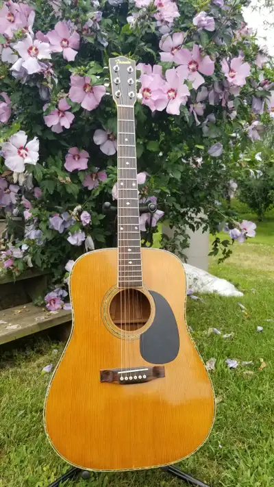 FANNIN Acoustic Guitar, View more