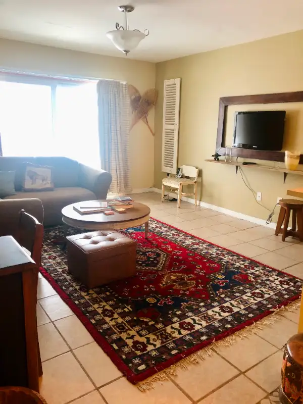 Beautiful bachelor apartment furnished by the lake62864759342337123