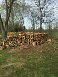 Cedar Kindling and Firewood for Sale
