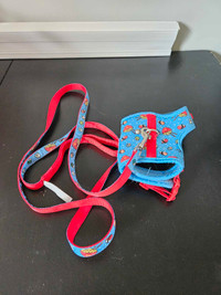 Kitten Harness and Leash