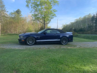 Shelby gt500 Mustang (trade)
