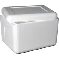 Giving Away A Styrofoam Cooler and cold packs