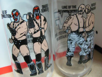 1990 WWF Demolition Ax Smash Bushwhackers Glass Tumbler Titan