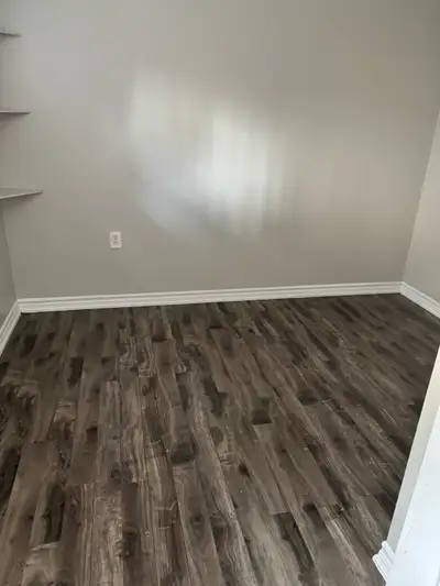 two bedroom basement available for immediate move near Brampton downtown .
