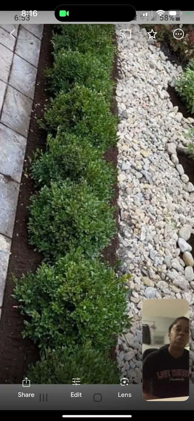 pk landscaping 521699832690780167