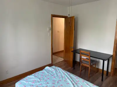 chambre à louer