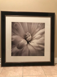 Framed Flower Print/Picture