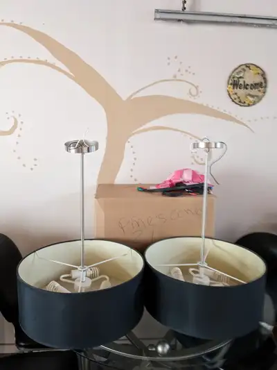 2 large black ceiling lights used, View more