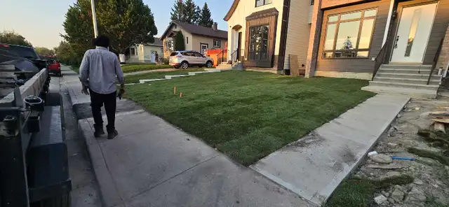 landscaping fence rocks grass