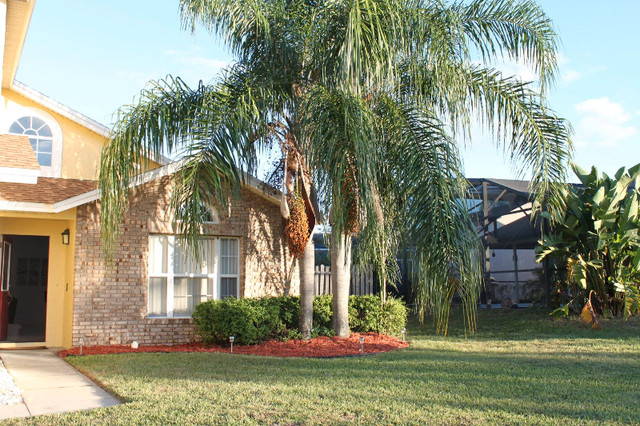Location Villa Orlando Disney in Florida - Image 2