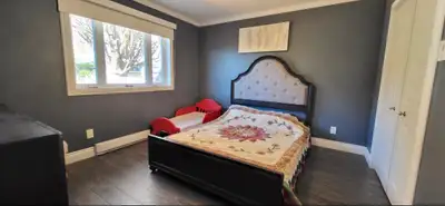 chambre meublée