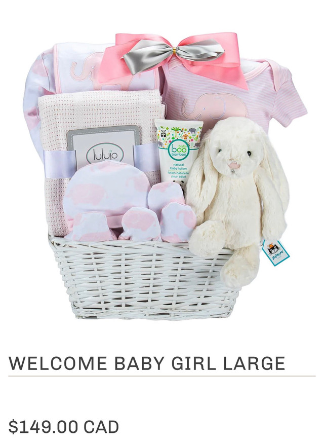 50% off baby girl gift basket. Baby shower in Multi-item in Mississauga / Peel Region