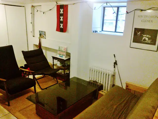 Parkdale apt. in house, bright room in 3 bedroom, June 1 in Room Rentals & Roommates in City of Toronto - Image 3