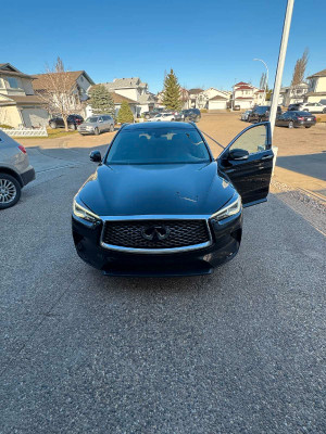 2019 Infiniti QX50 autograph 