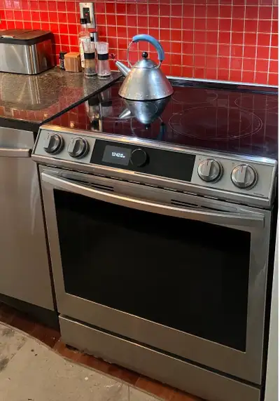 Bespoke Electric range, View more