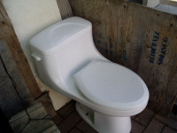 Toilette monopièce modèle allongé de grande valeur.
