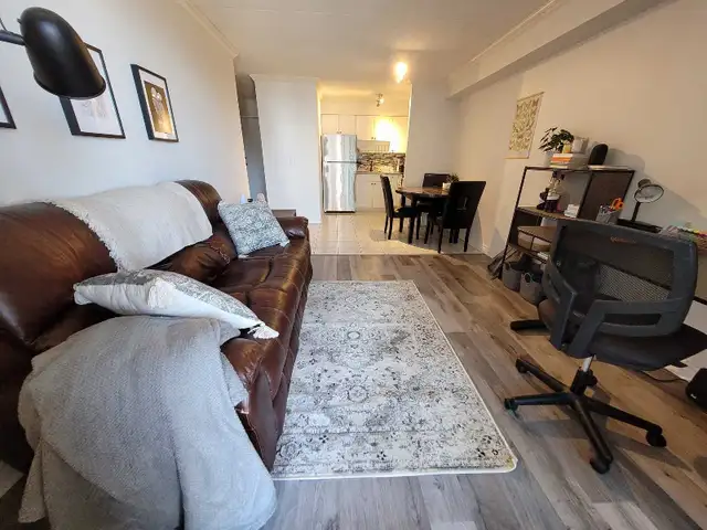 19th Floor Renovated 1 Bed Condo Downtown w/ River Views