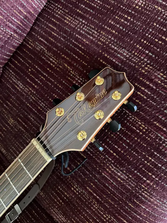 Takamine Electro-Acoustic Guitar533465094758737926