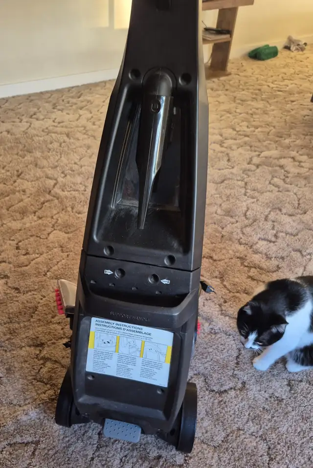 Pet steam cleaner64141835880450121