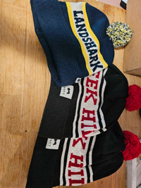 Various local/craft brewery beanies