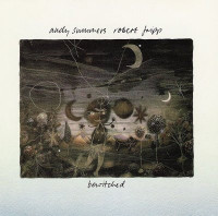 "Bewitched" - Andy Summers/Robert Fripp - Original 1984 Vinyl LP