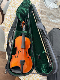 Violin string instrument 