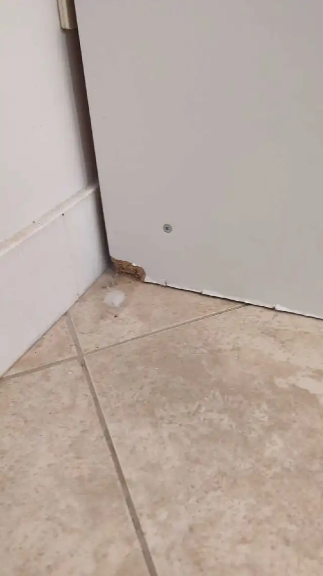 cabinet / shelving unit in Bookcases & Shelving Units in Kitchener / Waterloo - Image 3