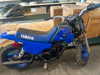 2021 Yamaha PW 50 For Sale