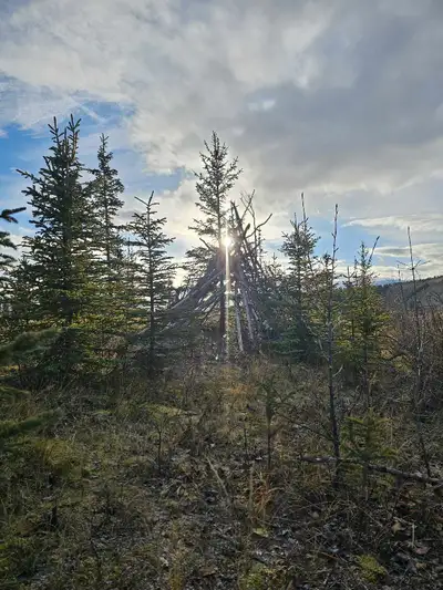 My long time friend and I are looking at a life change (close friends for 18 years!). We currently l...