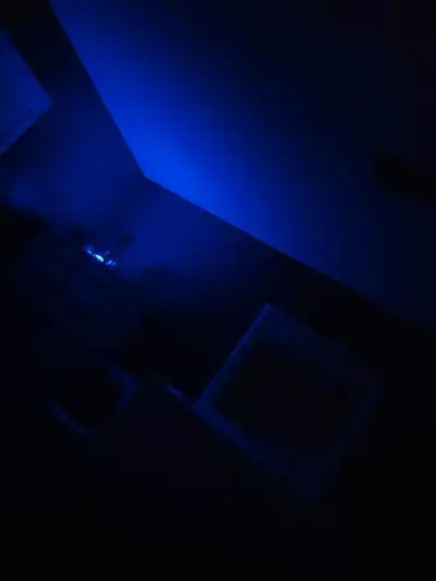 2 rooms for rent