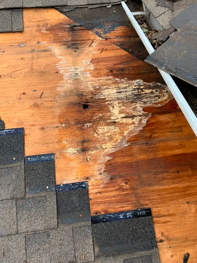 Roofing63013091446401123