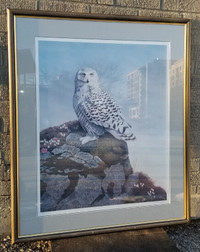 Snowy owl in Arctic signed limited edition print Neil Blackwell