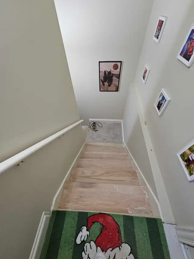 renovations65680491506434124