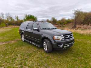 2016 Ford Expedition Platinum