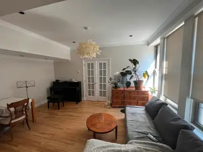 Spacious 3,5 apartment in a downtown (lease transfer)