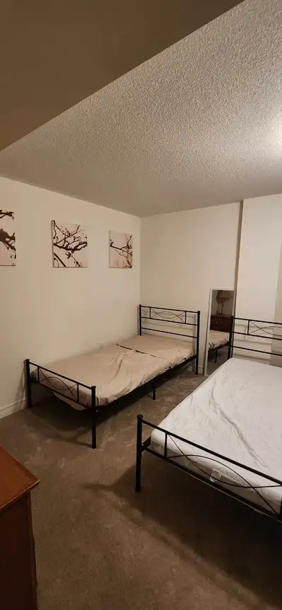 shared room for rent