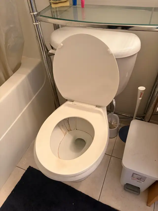 Cleaning Services591441148290672647