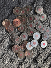 Full roll of 2004 armistice quarters. Coins