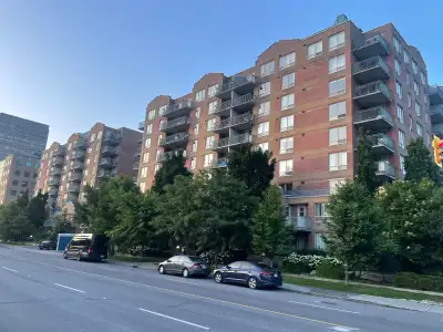 Large 1 bdrm/den or 2 bdrm near Tunneys Pasture.