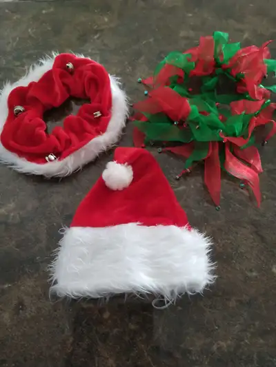 Dog Items, View more