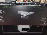 Traynor DG60R Guitar Amp