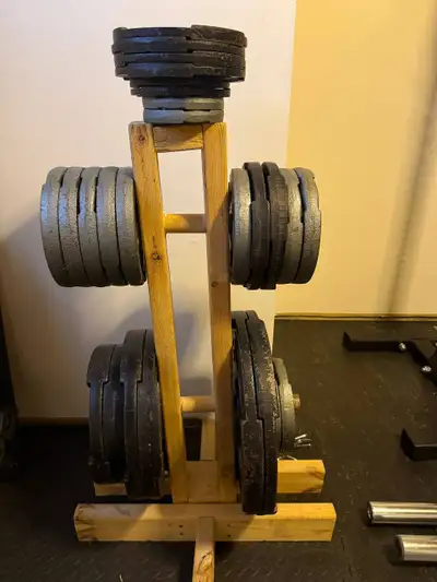 Workout equipment, squat stand, bench, weights, barbells etc, View more