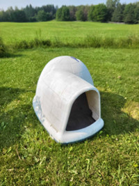 Dog house 