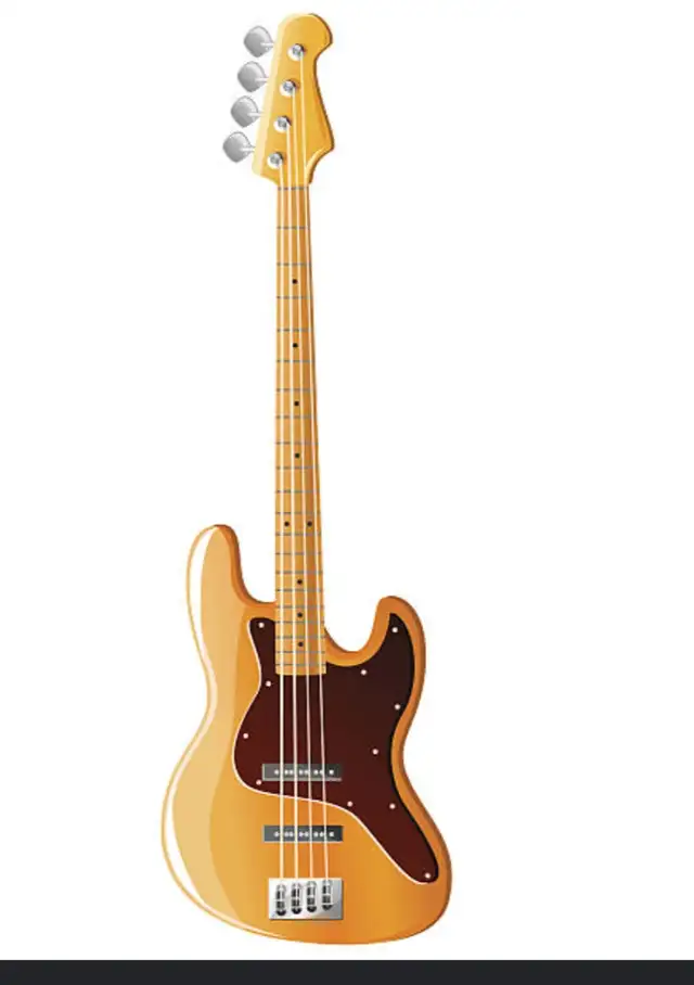 bass player needed male or female