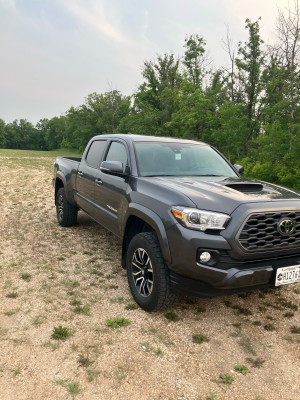2023 Toyota Tacoma TRD Sport