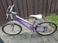 Adult Bike (24 inch)