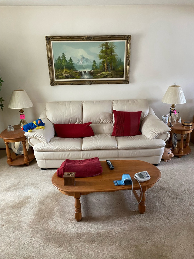  Sofa, Excellent condition in Couches & Futons in Edmonton